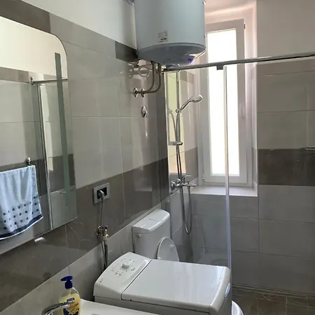 Apartment Viskovic *